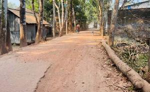 ড. মাসুদের প্রচেষ্টায় নাজিরপুরে সাত কোটি টাকার উন্নয়ন বরাদ্দ অনুমোদন