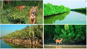 লবণাক্ততার আগ্রাসনে বিপন্ন বিশ্ব ঐতিহ্য