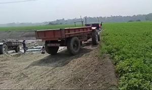 কৃষিজমির উর্বরতা নষ্ট করে চলছে মাটি বিক্রি, দিশেহারা কচুয়ার কৃষকরা