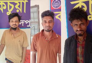 কচুয়ায় পুলিশের বিশেষ অভিযান: ইয়াবাসহ ৩ মাদক ব্যবসায়ী গ্রেপ্তার