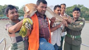 লোকালয়ে ঢুকে পড়া বিশ্ব ঐতিহ্য সুন্দরবনের মায়াবী হরিণ উদ্ধার, পরে বনে অবমুক্ত