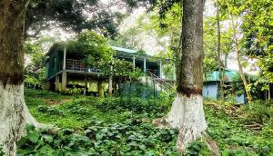 শেরপুরে বিলুপ্তপ্রায় পাখ-পাখালির আবাসস্থল গড়ে উঠেছে বালিঝুড়ি রেঞ্জ অফিস!