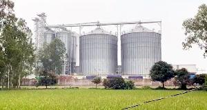 প্যারাগন এগ্রো’র দূষণে ক্ষতিগ্রস্ত ফসলি জমি ও স্থানীয় জনগণ