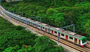 শাহবাগ স্টেশনে বিদ্যুৎস্পৃষ্ট বিড়াল, সাময়িক বন্ধ ছিল মেট্রো রেল