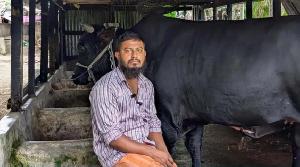 খালেদা জিয়াকে ‘কালো মানিক’ উপহার দিতে চাওয়া সেই সোহাগ গ্রেপ্তার
