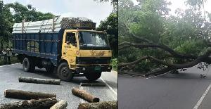 আসলাম চৌধুরীর প্রার্থিতা বাতিলের খবরে গাছ ফেলে মহাসড়ক অবরোধ