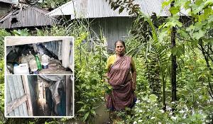 পানিবন্দি ভাঙা ঘরে সাবেক ইউপি সদস্য দীপ্তি; সাপ-ব্যাঙের সঙ্গে কাটছে দিন-রাত