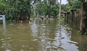 বৃষ্টি কমলেও নামছে না পানি