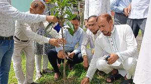 সালথার জয়ঝাপ সঃপ্রাঃ বিদ্যালয়ে বৃক্ষরোপন কর্মসূচির উদ্বোধণ 