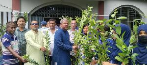 বাউফলে সহস্রাধিক বৃক্ষরোপণ কর্মসূচির উদ্বোধন করলেন পৌর বিএনপির সভাপতি হুমায়ুন কবির