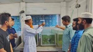 আড়িয়াল বিলের কইসহ ৫ প্রজাতির মাছে মাইক্রোপ্লাস্টিকের উপস্থিতি