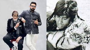 ‘আমার ঘরে বাঘ জন্ম নিয়েছে’
