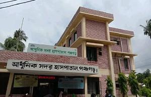 শিয়ালের আতঙ্কে পঞ্চগড় সদর, হামলায় আহত ৭