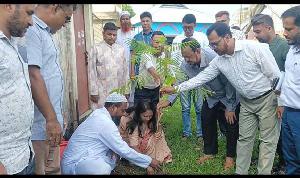 ঝিনাইগাতীতে ক্ষুদ্র নৃগোষ্ঠীর মাঝে চারা বিতরণ