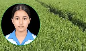 তাজমিন হত্যা: ধানক্ষেতে ধস্তাধস্তির চিহ্ন, রহস্যে অটোরিকশা