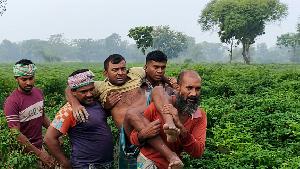 বিএসএফের গুলিতে বাংলাদেশি আহত, বিজিবির পাল্টা গুলি