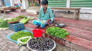 শেরপুরে বিলুপ্তির পথে ‘পানিফল’