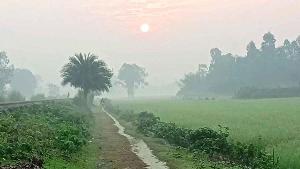 শীতের বার্তা দিচ্ছে কুয়াশা, রাজশাহীতে সর্বনিম্ন তাপমাত্রা ২২.২ ডিগ্রি
