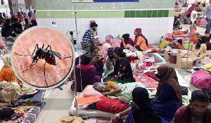 একদিনে ডেঙ্গুতে ৫ মৃত্যু, হাসপাতালে ভর্তি ১১০১ জন