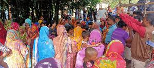 মেহেরপুরে সাপের কামড়ে যুবকের মৃত্যু 