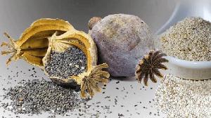 পাখির খাদ্যের আড়ালে পাকিস্তান থেকে এলো ২৫ টন ‘পপি সিড’