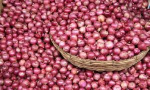 চলতি সপ্তাহে পেঁয়াজের দাম না কমলে আমদানি: বাণিজ্য উপদেষ্টা