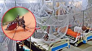 ডেঙ্গুতে আরও ৫ জনের মৃত্যু, হাসপাতালে ভর্তি ১১৩৯