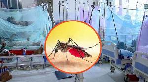 ডেঙ্গুতে একদিনে ৩ জনের মৃত্যু, আক্রান্ত ৫৯৩