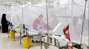 ডেঙ্গুতে একদিনে ৮ জনের মৃত্যু