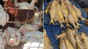 এক সপ্তাহে ব্রয়লারের দাম ২০ টাকা বৃদ্ধি, মাঝারি ইলিশ কেজিতে ১৫০০ টাকা